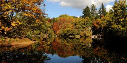 Hundehotel - Verpflegung: Halbpension - Baden-Württemberg - Bergsee Bad Säckingen - Sapia Hotel Rheinsberg