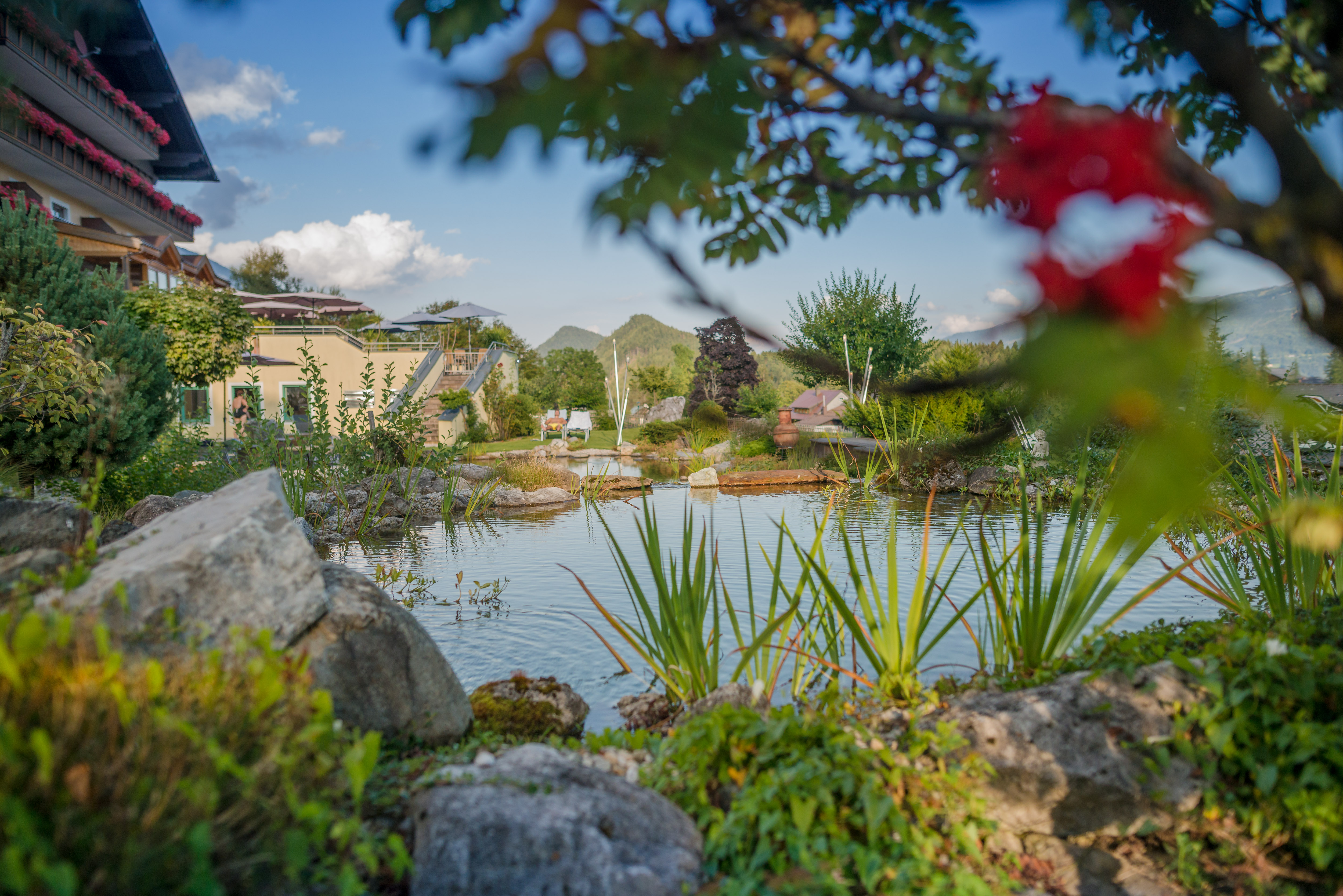 Hundehotel - Preisniveau: moderat - Schladming - Hotel Berghof Ramsau, Wieser GmbH