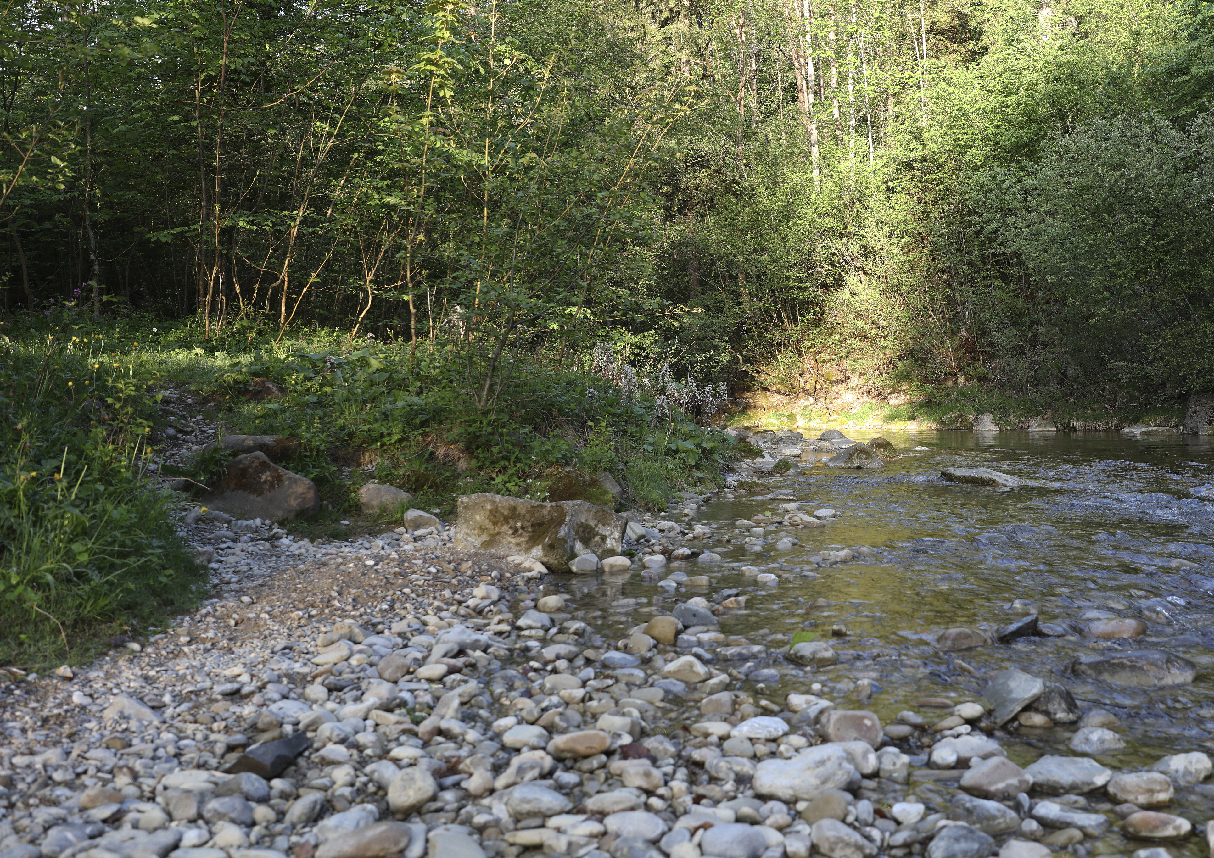 Weissbad Lodge Ausflüge mit Hund Weissbach