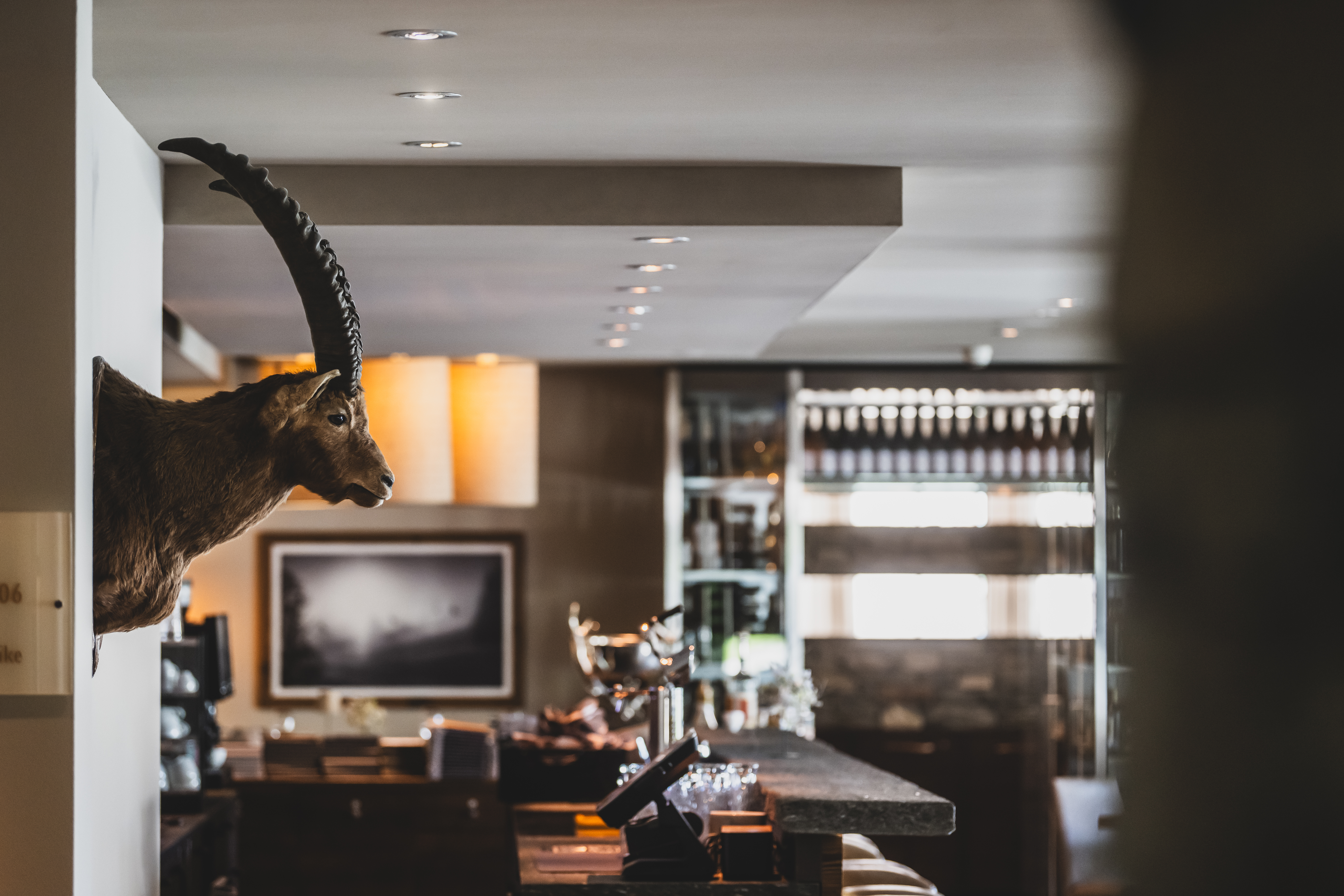 Hundehotel - Graubünden - LA VAL Hotel & Spa