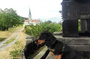 Hundehotel - Tulln an der Donau - Blick vom Wanderweg des "1. Wienerwasserleitungs-Weg", den auch unser "Schloss-Dackel Laya immer sehr gerne geht. - Schloss Gumpoldskirchen