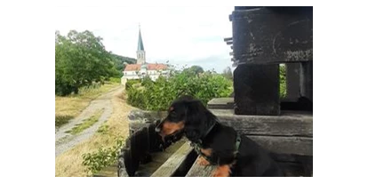 Hundehotel - Unterkunftsart: Hotel - Baden (Baden) - Blick vom Wanderweg des "1. Wienerwasserleitungs-Weg", den auch unser "Schloss-Dackel Laya immer sehr gerne geht. - Schloss Gumpoldskirchen