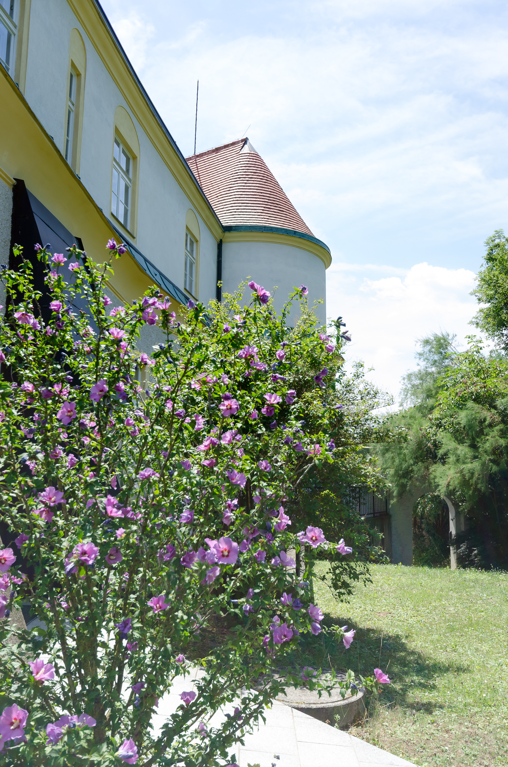 Urlaub-mit-Hund: Garten - Teilansicht des hinteren Gartens - Schloss Gumpoldskirchen - Urlaub mit Hund