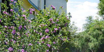 Hundehotel - Unterkunftsart: Hotel - Baden (Baden) - Garten - Teilansicht des hinteren Gartens - Schloss Gumpoldskirchen