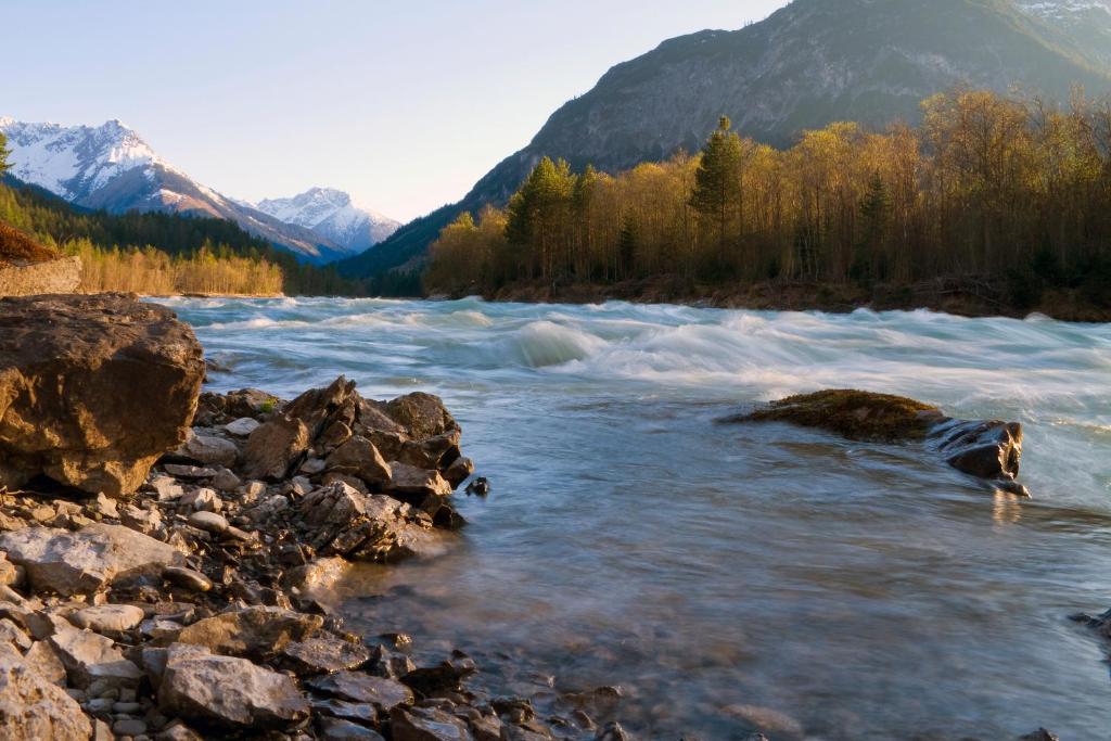 Hundehotel - Hund im Restaurant erlaubt - Sonthofen - Gasthof Schwarzer Adler in Hägerau