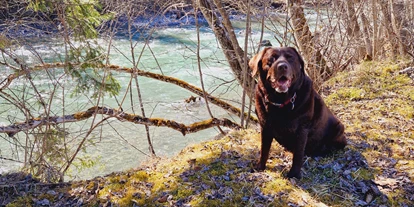 Hundehotel - Ofterschwang - Gasthof Schwarzer Adler in Hägerau