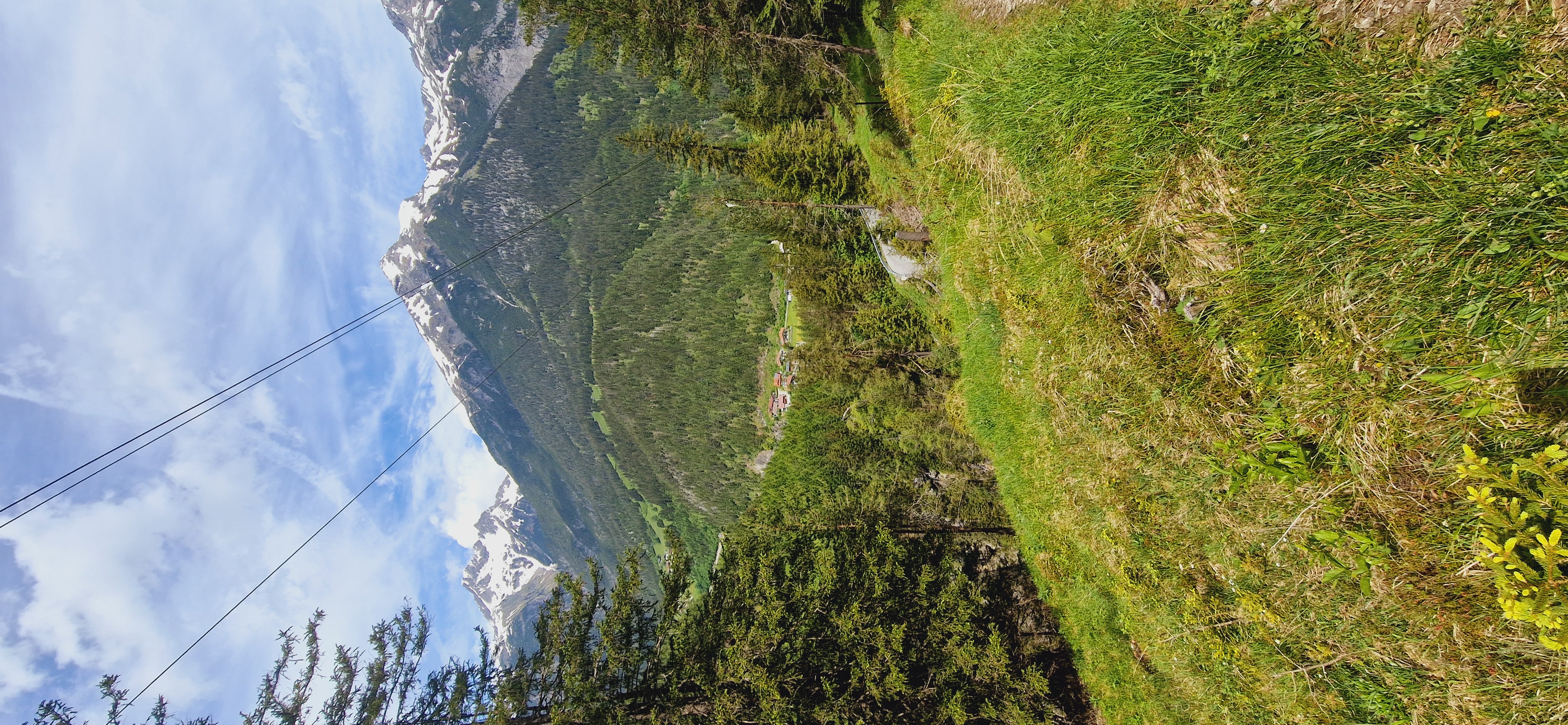Urlaub-mit-Hund: Gasthof Schwarzer Adler in Hägerau