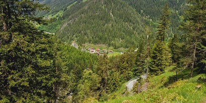 Hundehotel - Ofterschwang - Gasthof Schwarzer Adler in Hägerau