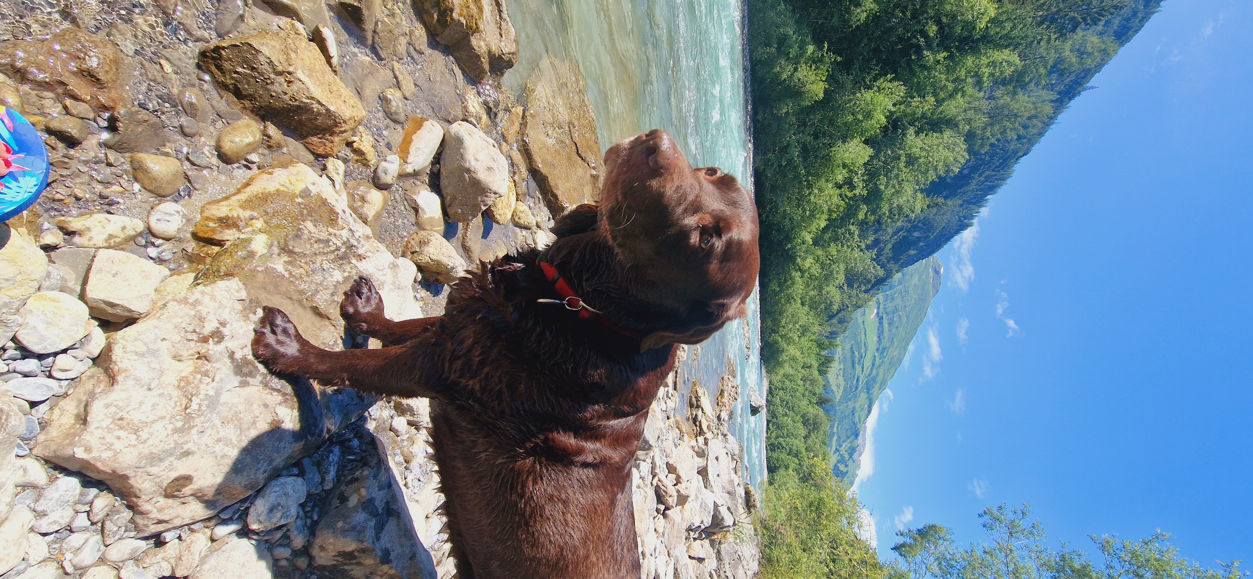 Urlaub-mit-Hund: Gasthof Schwarzer Adler in Hägerau