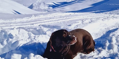 Hundehotel - Ofterschwang - Gasthof Schwarzer Adler in Hägerau