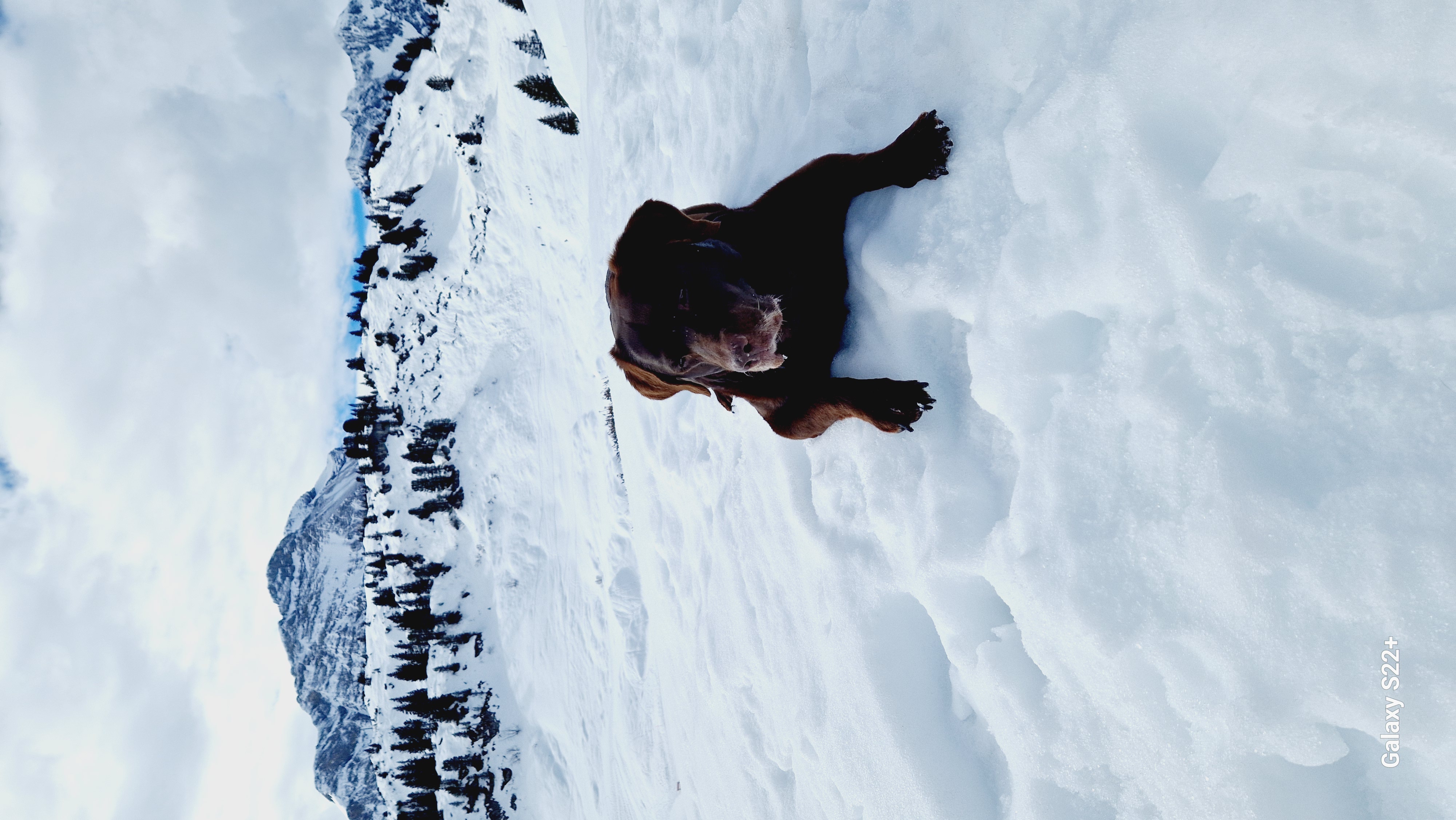 Urlaub-mit-Hund: Gasthof Schwarzer Adler in Hägerau
