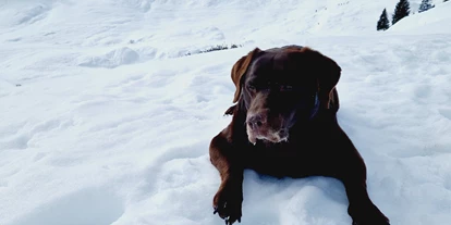 Hundehotel - Ofterschwang - Gasthof Schwarzer Adler in Hägerau