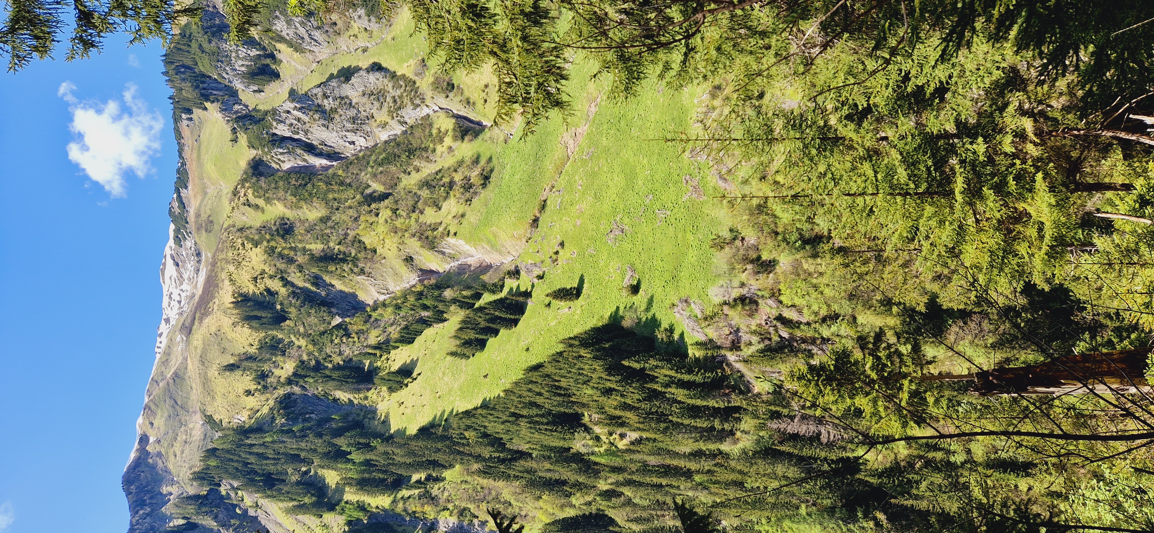 Urlaub-mit-Hund: Gasthof Schwarzer Adler in Hägerau