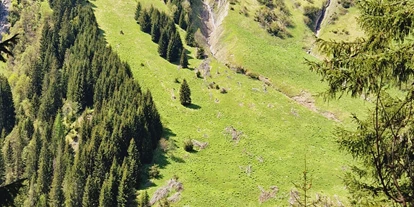 Hundehotel - Ofterschwang - Gasthof Schwarzer Adler in Hägerau