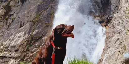 Hundehotel - Ofterschwang - Gasthof Schwarzer Adler in Hägerau