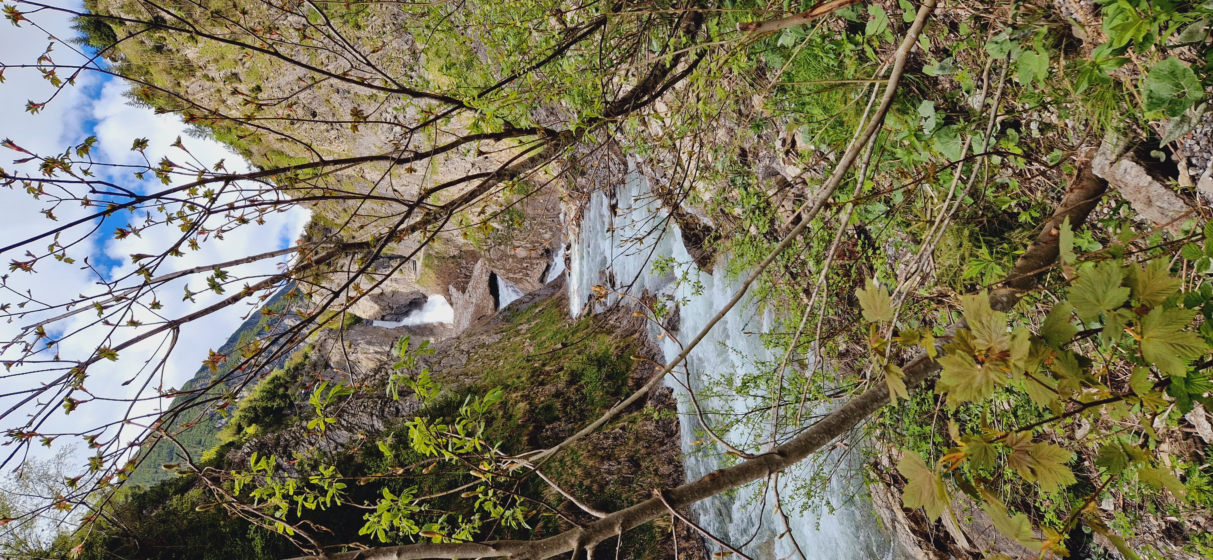 Urlaub-mit-Hund: Gasthof Schwarzer Adler in Hägerau - Haus | Umgebung, Urlaub mit Hund