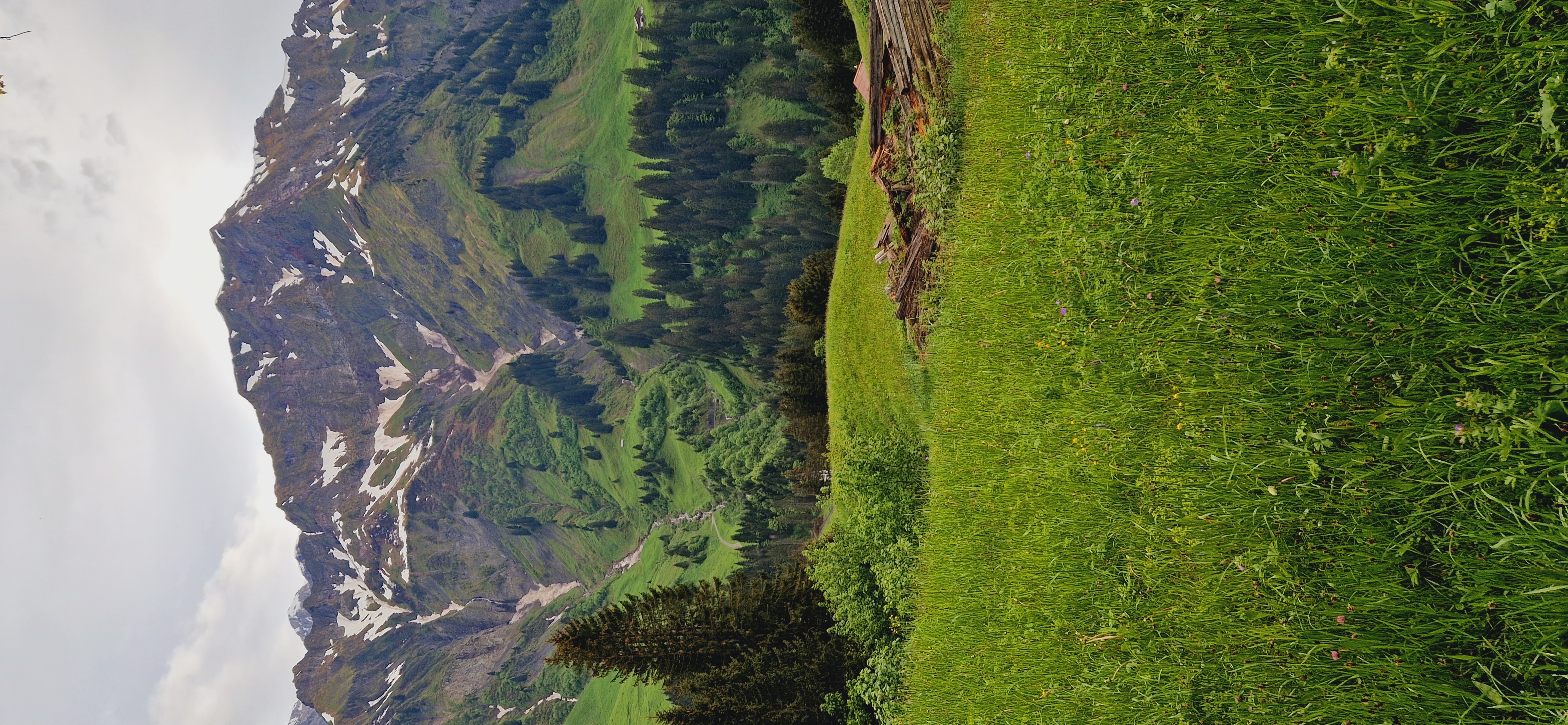 Urlaub-mit-Hund: Gasthof Schwarzer Adler in Hägerau - Haus | Umgebung, Urlaub mit Hund