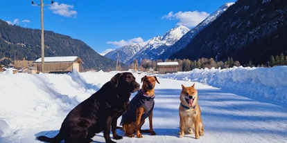 Hundehotel - Ofterschwang - Gasthof Schwarzer Adler in Hägerau