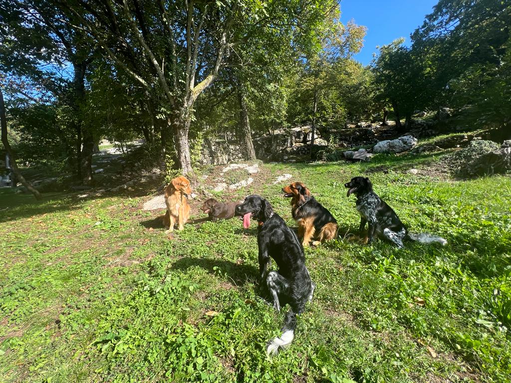 Hundehotel - Italien - Favai Hills