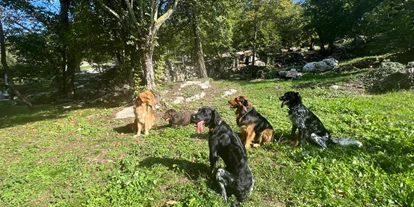 Hundehotel - Sirmione - Favai Hills