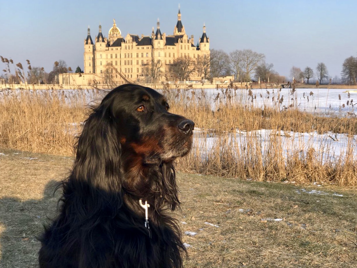 Urlaub-mit-Hund: Pension Café Karina