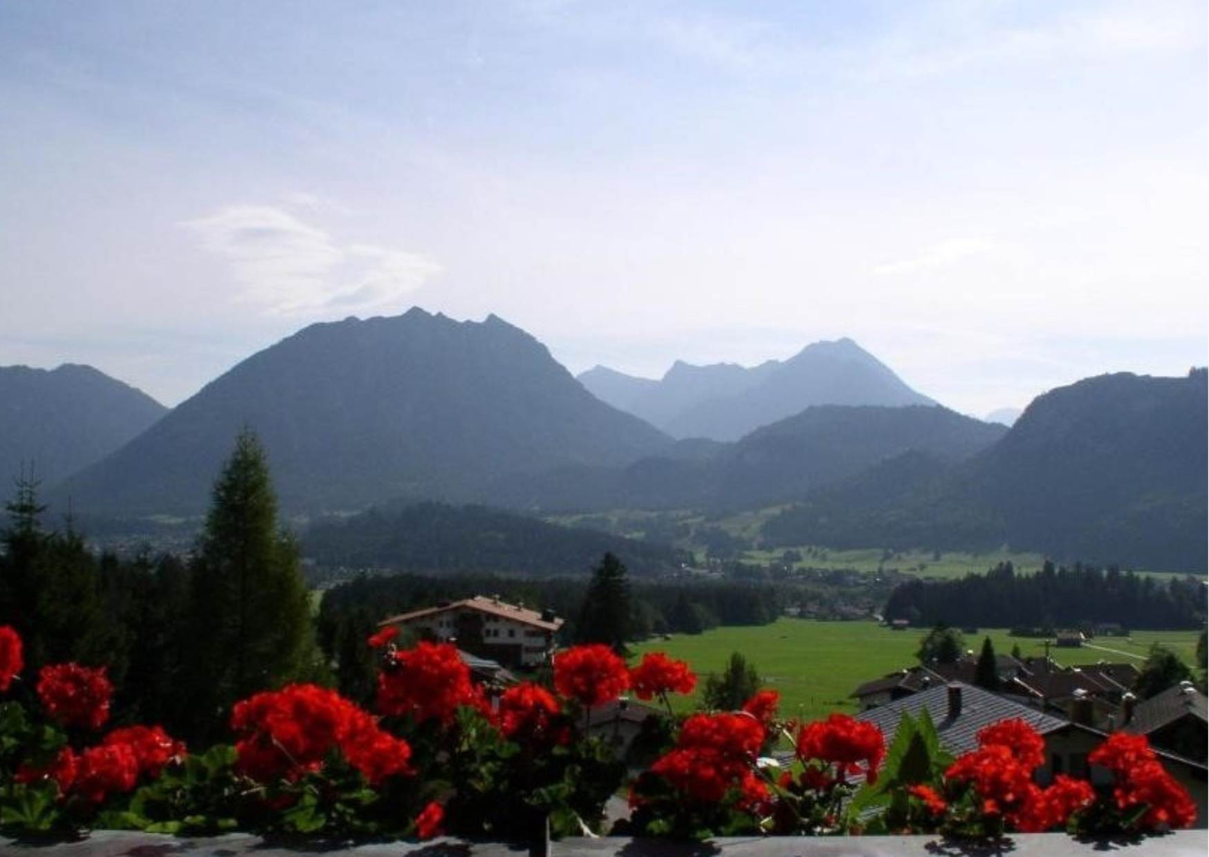 Urlaub-mit-Hund: Einfach ein Traum - dieses Panorama - Panoramahotel Talhof Garni & more