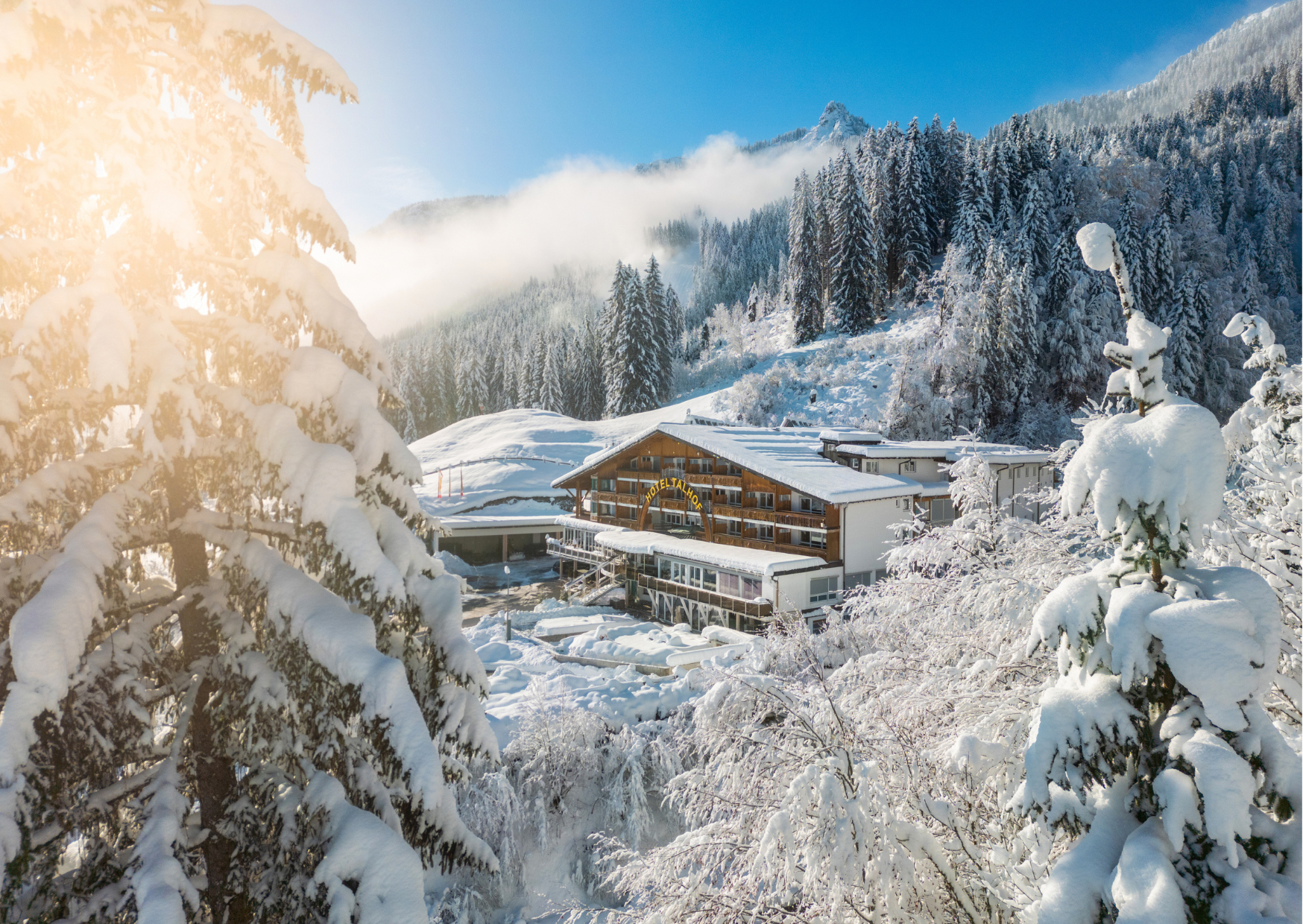 Urlaub-mit-Hund: Winter im Talhof - Panoramahotel Talhof Garni & more
