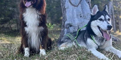 Hundehotel - Ofterschwang - Ein tolles Hunde-Duo - Panoramahotel Talhof Garni & more