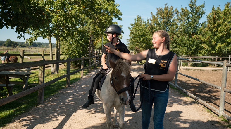 Hundehotel - PLZ 18119 (Deutschland) - Ponyreiten - Bernsteinland Hirschburg