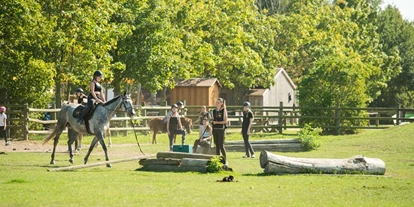Hundehotel - Unterkunftsart: Appartement - Mecklenburg-Vorpommern - Reitunterricht - Bernsteinland Hirschburg