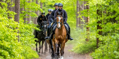 Hundehotel - Unterkunftsart: Appartement - Mecklenburg-Vorpommern - Ausritte - Bernsteinland Hirschburg