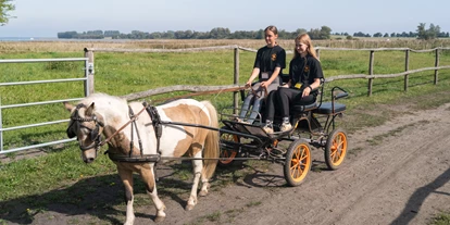 Hundehotel - Unterkunftsart: Appartement - Mecklenburg-Vorpommern - Ponykutsche - Bernsteinland Barth