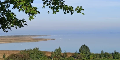 Hundehotel - Unterkunftsart: Appartement - Mecklenburg-Vorpommern - Blick auf Ostseelagune - Bernsteinland Barth