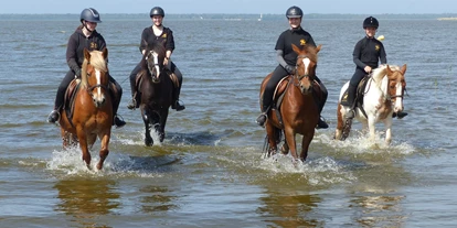 Hundehotel - Unterkunftsart: Appartement - Mecklenburg-Vorpommern - Lagunen-Ausritte - Bernsteinland Barth