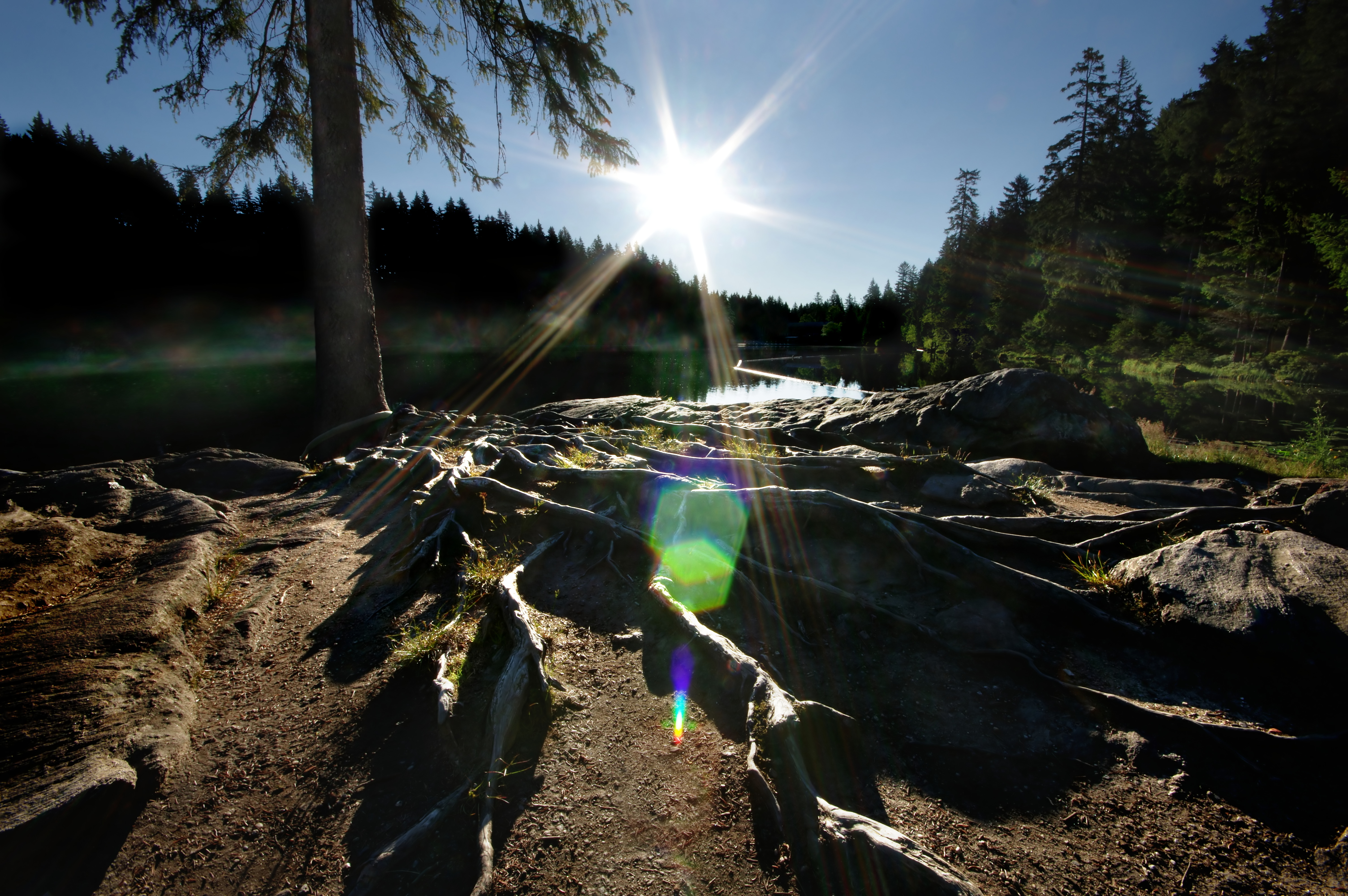 Urlaub-mit-Hund: Sonnenhof Ressort | Bayerischer Wald