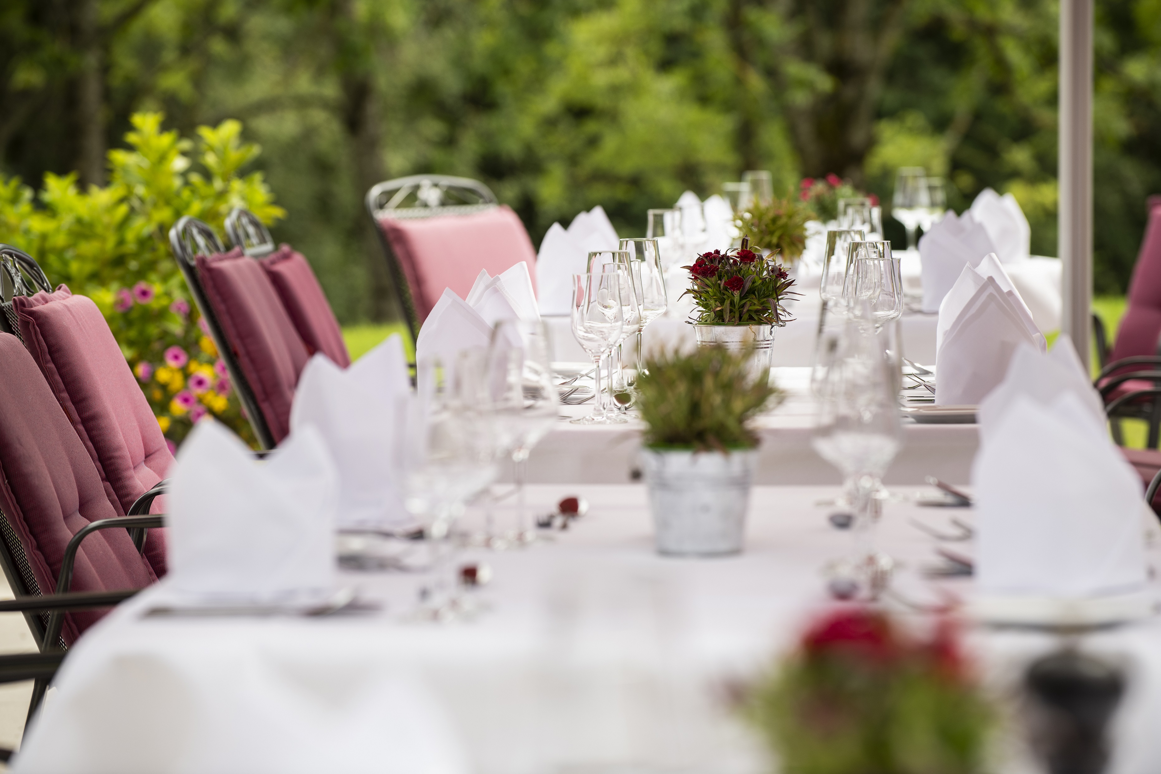 Urlaub-mit-Hund: Sonnenhof Ressort | Bayerischer Wald