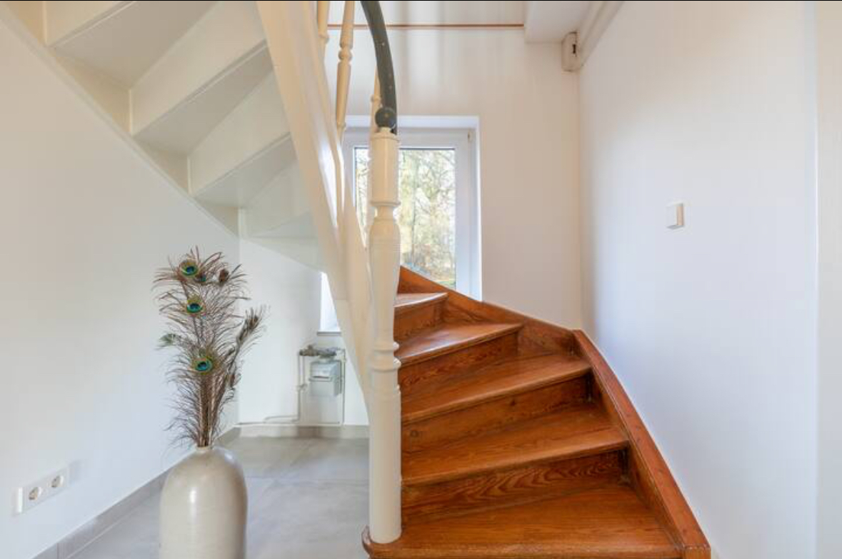 Ferienhaus mit Hund: Villa Morgenthau