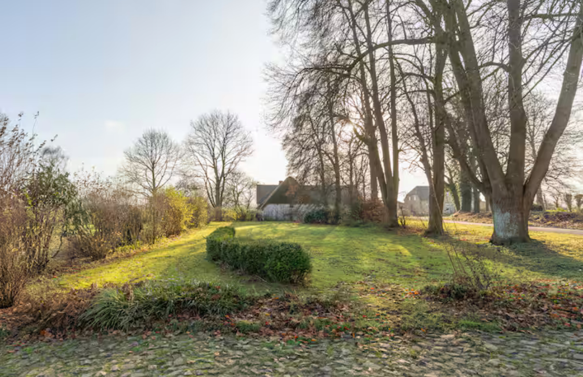 Ferienhaus mit Hund: Villa Morgenthau