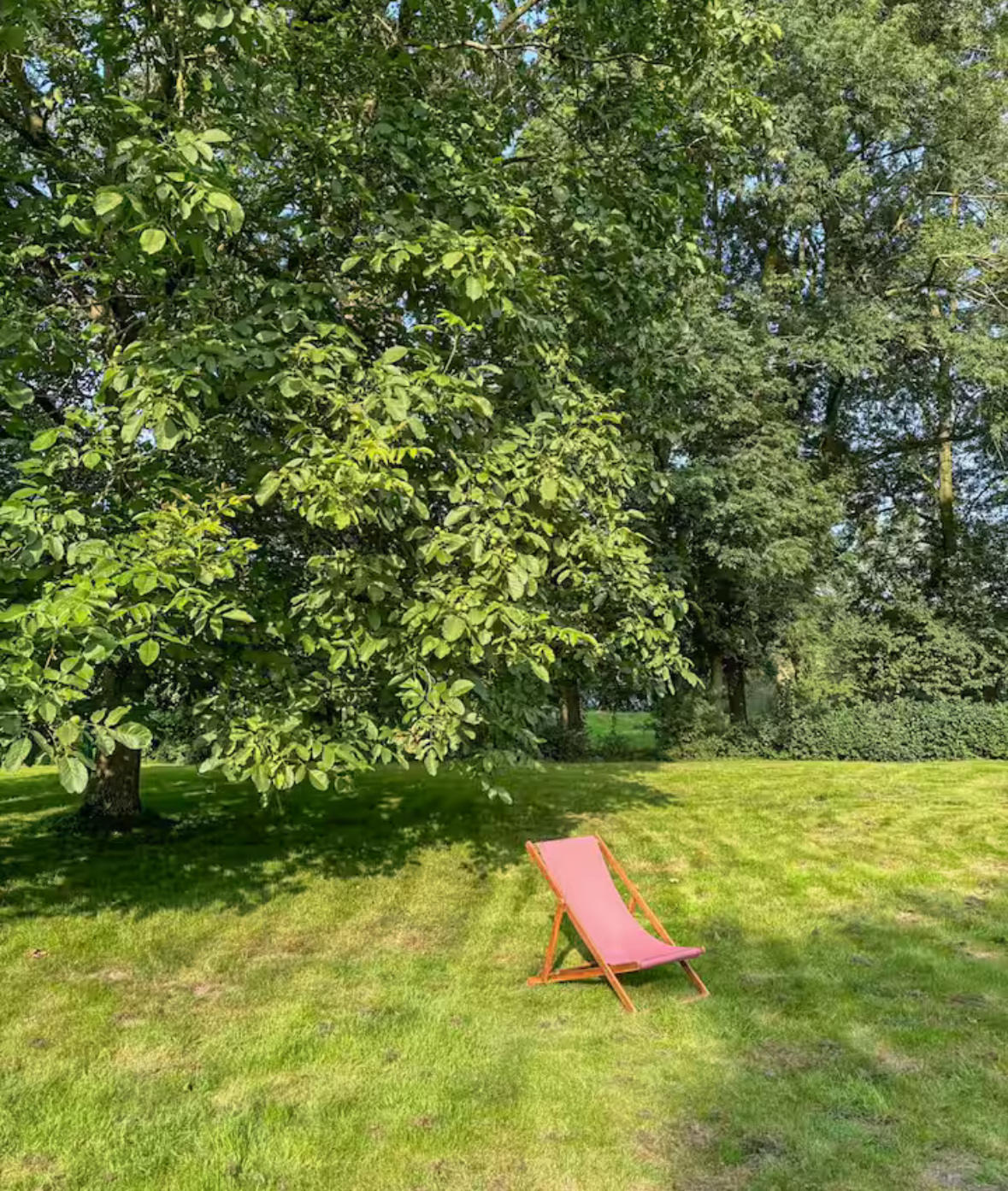 Ferienhaus mit Hund: Villa Morgenthau