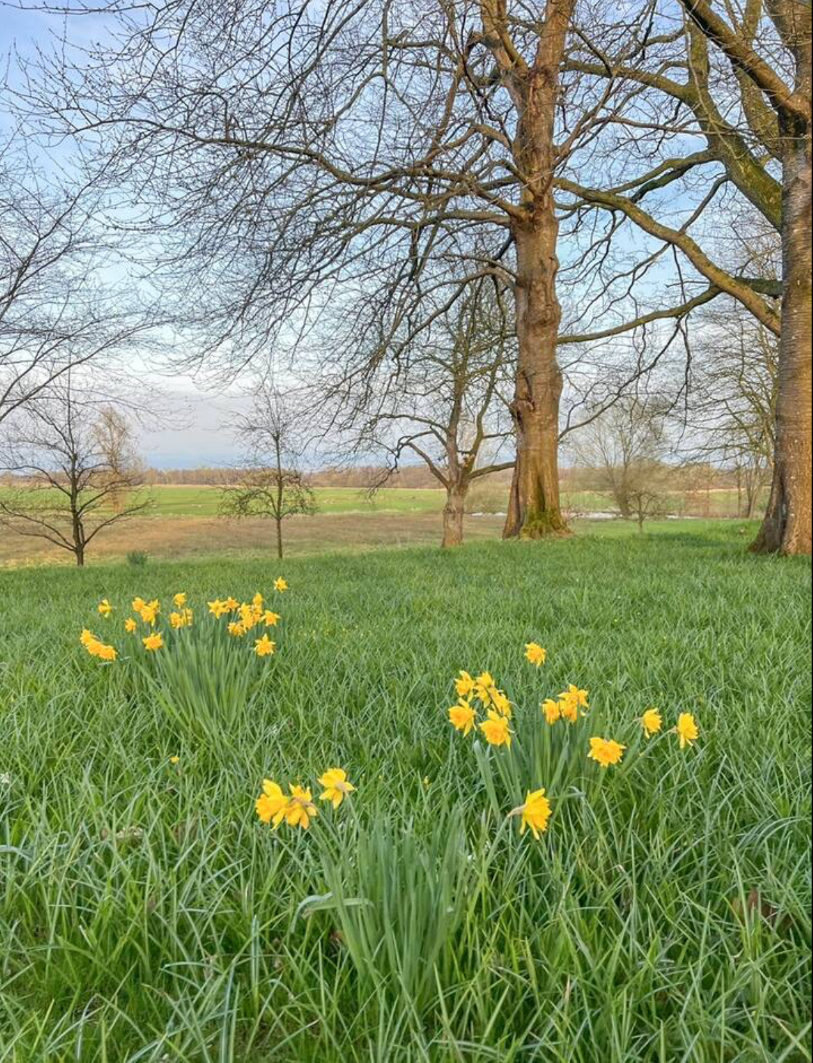 Ferienhaus mit Hund: Villa Morgenthau