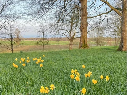 Hundehotel - Schwerpunkt: Bauernhof - Ostenfeld (Kreis Nordfriesland) - Villa Morgenthau