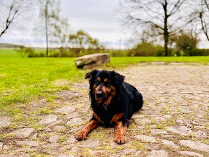 Hundehotel - Schwerpunkt: Bauernhof - Ostenfeld (Kreis Nordfriesland) - Villa Morgenthau