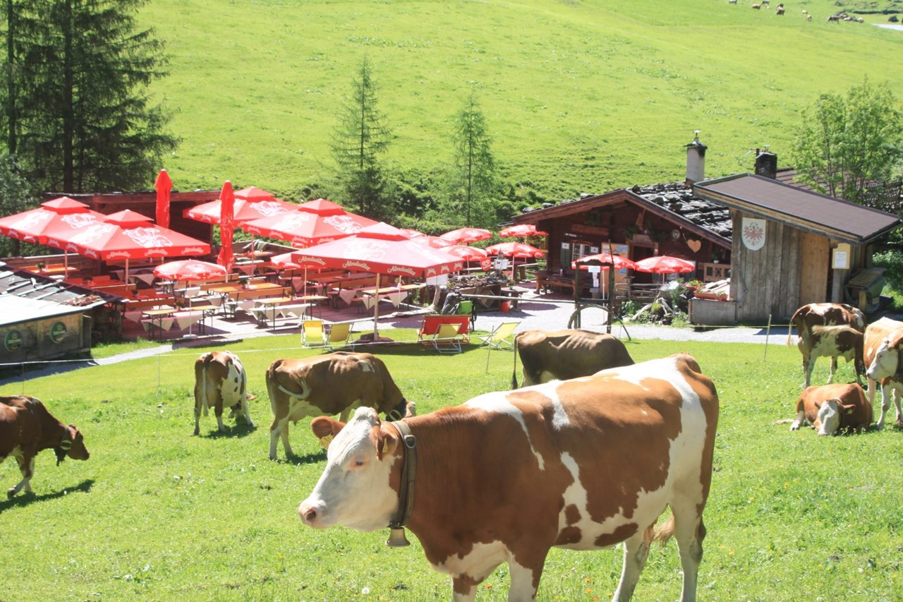 Alpenwohlfühlhotel Dörflwirt  Ausflüge mit Hund Schwarzachtal 