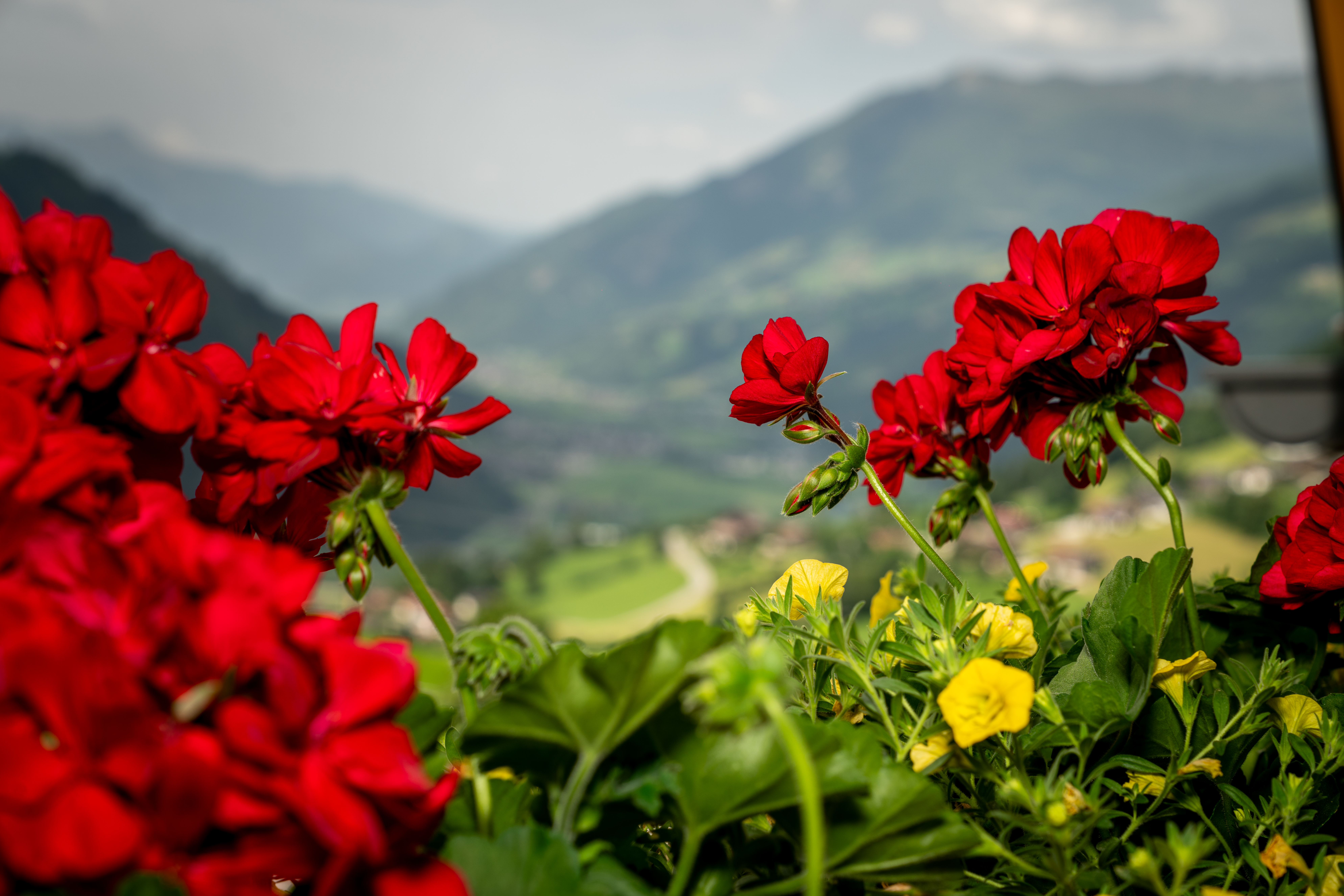 Urlaub-mit-Hund: Alpenwohlfühlhotel Dörflwirt  - Haus | Umgebung