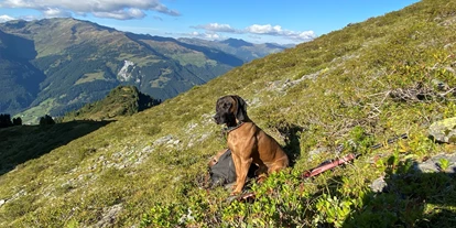 Hundehotel - Mariastein (Mariastein) - Alpenwohlfühlhotel Dörflwirt