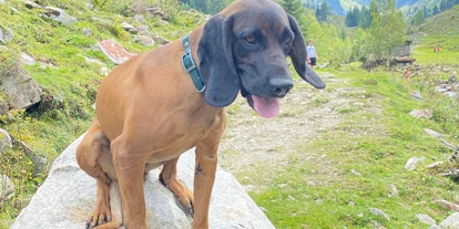 Hundehotel - Mariastein (Mariastein) - Alpenwohlfühlhotel Dörflwirt