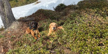 Hundehotel - Mariastein (Mariastein) - Alpenwohlfühlhotel Dörflwirt