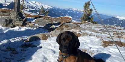 Hundehotel - Mariastein (Mariastein) - Alpenwohlfühlhotel Dörflwirt