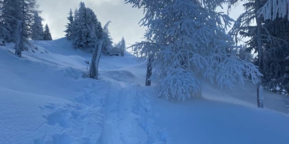 Hundehotel - Mariastein (Mariastein) - Alpenwohlfühlhotel Dörflwirt