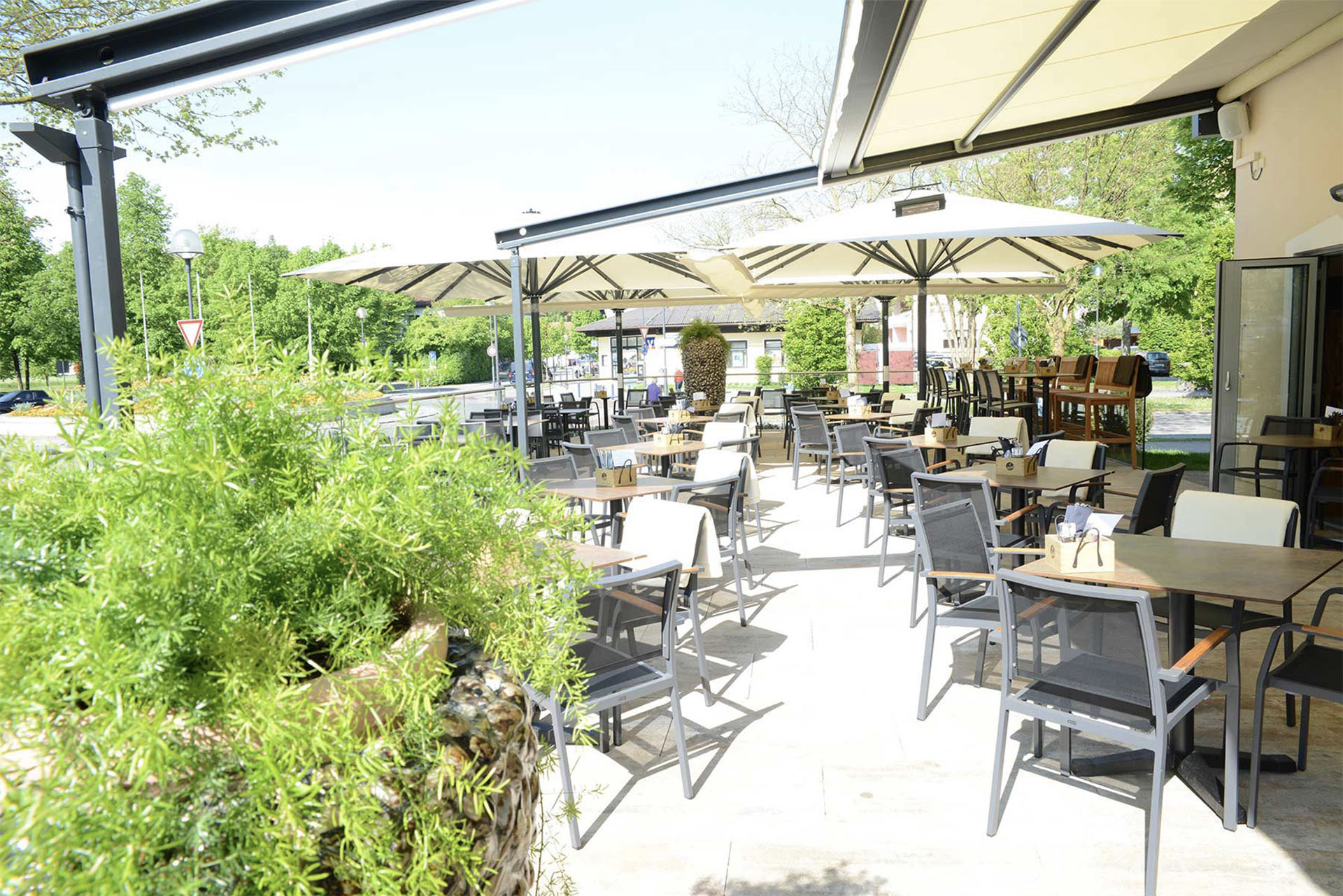 Urlaub-mit-Hund: Hotel-Lokal - Hotel DEIN FRANZ